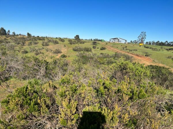 Terreno en Algarrobo - Imagen 8
