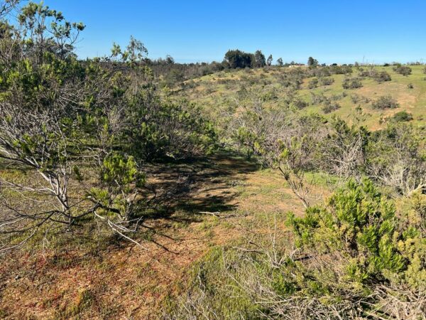 Terreno en Algarrobo - Imagen 5