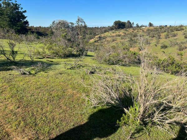 Terreno en Algarrobo - Imagen 4