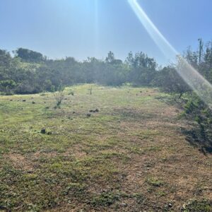 Terreno en Algarrobo