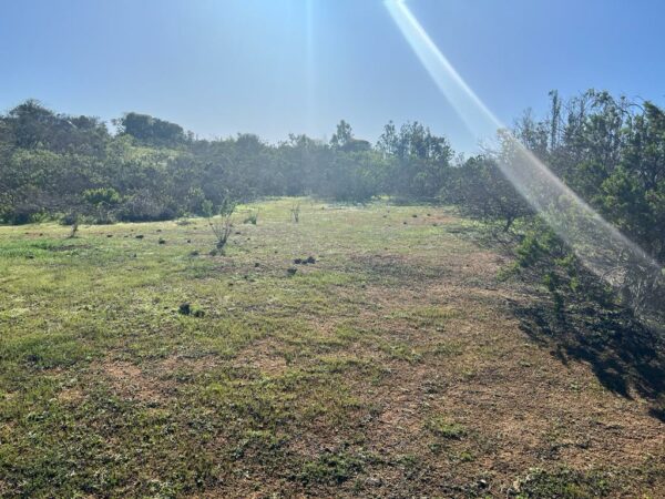 Terreno en Algarrobo
